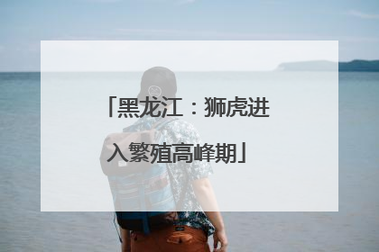 黑龙江：狮虎进入繁殖高峰期