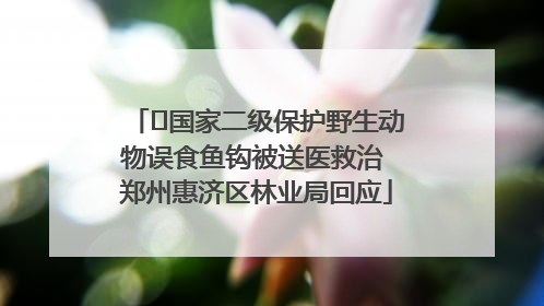 ﻿国家二级保护野生动物误食鱼钩被送医救治 郑州惠济区林业局回应