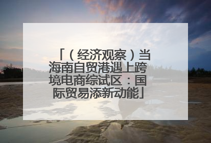 （经济观察）当海南自贸港遇上跨境电商综试区：国际贸易添新动能