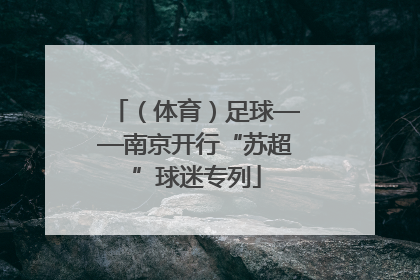 （体育）足球——南京开行“苏超”球迷专列