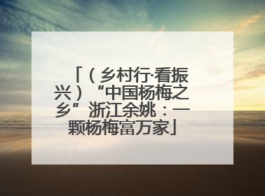 （乡村行·看振兴）“中国杨梅之乡”浙江余姚：一颗杨梅富万家