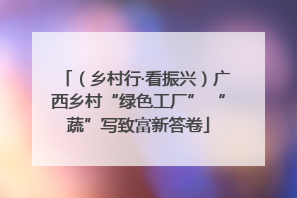 （乡村行·看振兴）广西乡村“绿色工厂” “蔬”写致富新答卷