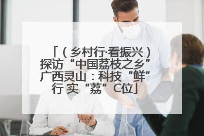 （乡村行·看振兴）探访“中国荔枝之乡”广西灵山：科技“鲜”行 实“荔”C位