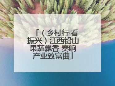 （乡村行·看振兴）江西铅山果蔬飘香 奏响产业致富曲