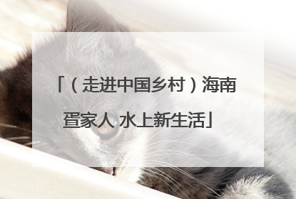 （走进中国乡村）海南疍家人 水上新生活