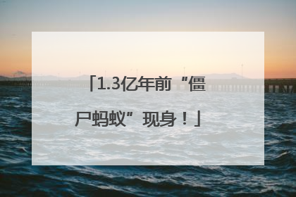 1.3亿年前“僵尸蚂蚁”现身！
