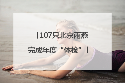 107只北京雨燕完成年度“体检”