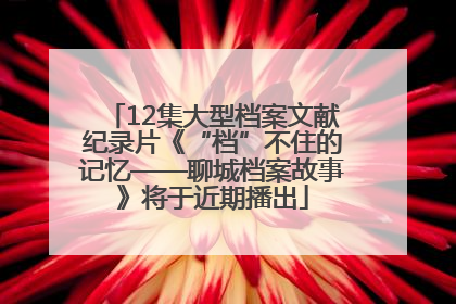 12集大型档案文献纪录片《“档”不住的记忆——聊城档案故事》将于近期播出