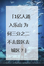 1亿人涌入乐山 为何三分之二不去景区去城区？