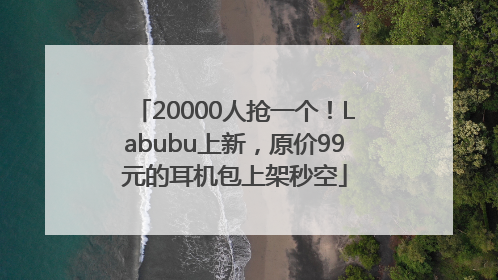20000人抢一个！Labubu上新，原价99元的耳机包上架秒空