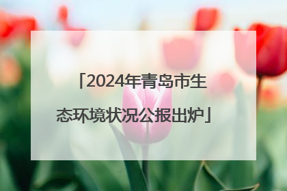 2024年青岛市生态环境状况公报出炉