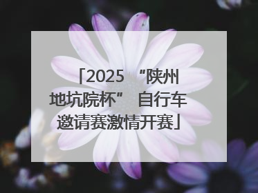 2025 “陕州地坑院杯” 自行车邀请赛激情开赛