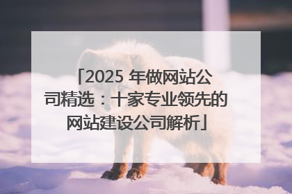 2025 年做网站公司精选：十家专业领先的网站建设公司解析