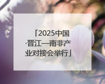 2025中国·晋江—南非产业对接会举行