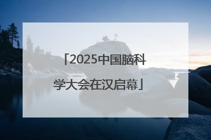 2025中国脑科学大会在汉启幕