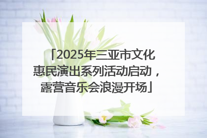 2025年三亚市文化惠民演出系列活动启动，露营音乐会浪漫开场