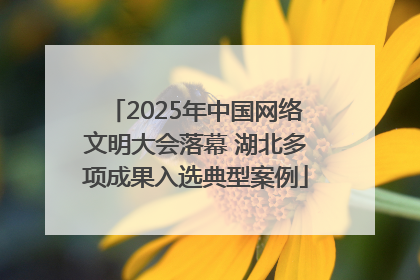 2025年中国网络文明大会落幕 湖北多项成果入选典型案例