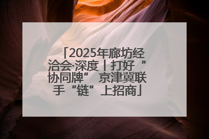 2025年廊坊经洽会·深度丨打好“协同牌” 京津冀联手“链”上招商