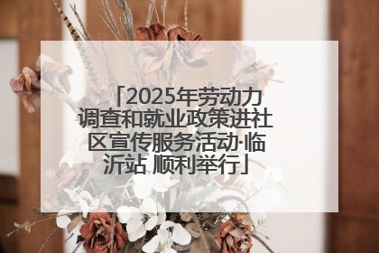 2025年劳动力调查和就业政策进社区宣传服务活动·临沂站 顺利举行