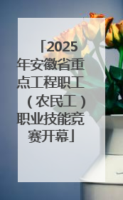 2025年安徽省重点工程职工（农民工）职业技能竞赛开幕