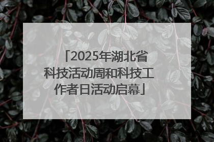 2025年湖北省科技活动周和科技工作者日活动启幕