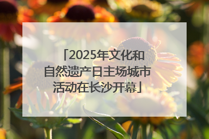 2025年文化和自然遗产日主场城市活动在长沙开幕