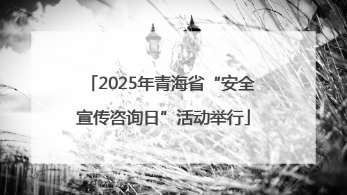 2025年青海省“安全宣传咨询日”活动举行