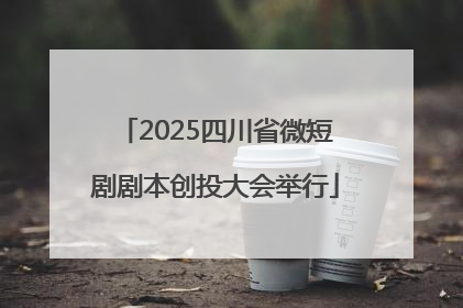 2025四川省微短剧剧本创投大会举行