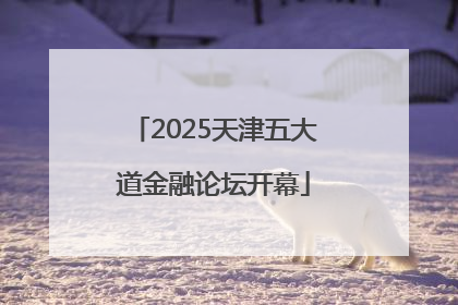 2025天津五大道金融论坛开幕
