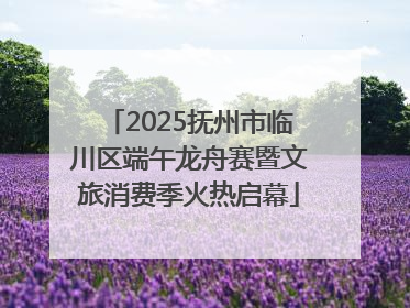 2025抚州市临川区端午龙舟赛暨文旅消费季火热启幕