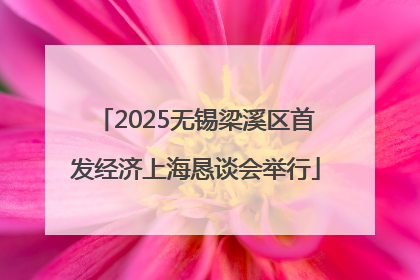 2025无锡梁溪区首发经济上海恳谈会举行