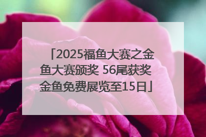 2025福鱼大赛之金鱼大赛颁奖 56尾获奖金鱼免费展览至15日