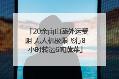 20余亩山蔬外运受阻 无人机极限飞行8小时转运6吨蔬菜