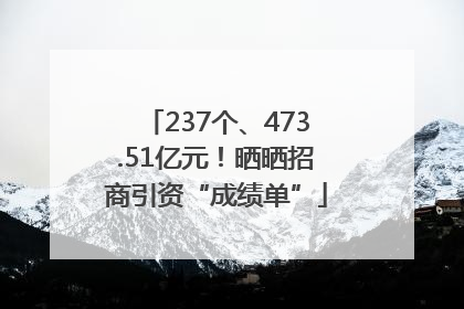 237个、473.51亿元！晒晒招商引资“成绩单”