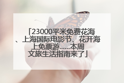 23000平米免费花海、上海国际电影节、花开海上免票游......本周文旅生活指南来了