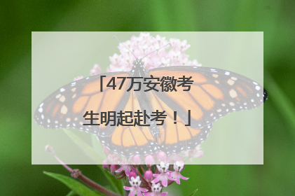47万安徽考生明起赴考！