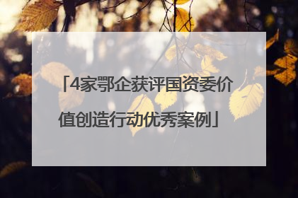 4家鄂企获评国资委价值创造行动优秀案例