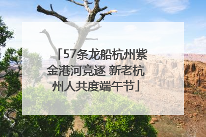 57条龙船杭州紫金港河竞逐 新老杭州人共度端午节