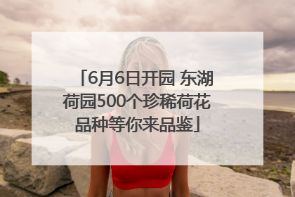 6月6日开园 东湖荷园500个珍稀荷花品种等你来品鉴