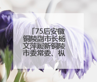 75后安徽铜陵副市长杨文萍履新铜陵市委常委、枞阳县委书记