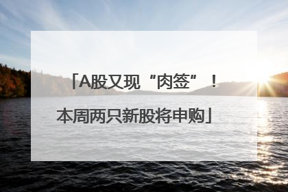 A股又现“肉签”！本周两只新股将申购