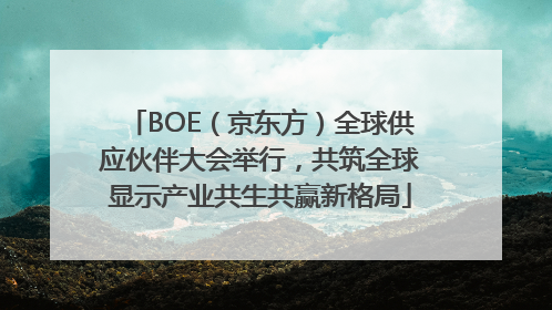 BOE（京东方）全球供应伙伴大会举行，共筑全球显示产业共生共赢新格局