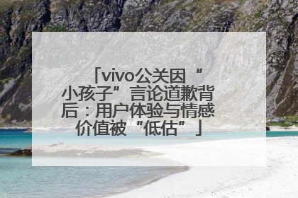 vivo公关因“小孩子”言论道歉背后：用户体验与情感价值被“低估”